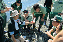 Hiratsuka Plant (water quality survey)