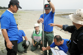 Making a sandy beach suitable for egg-laying by loggerhead sea turtles