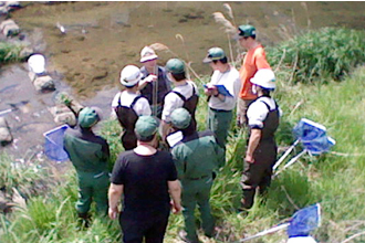 Biodiversity survey at the Noda River