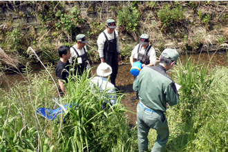 Water quality study on the Kuroda River