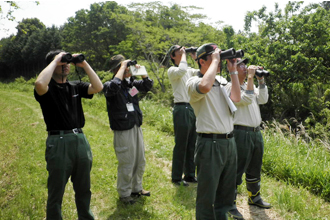Wild birds observation on the Kuroda River