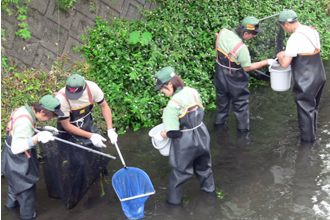 Water quality study on the Goten River (before the drainage outlet)