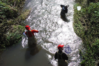 Capturing aquatic organisms