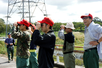 Wild birds observation