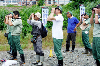 Bird observation