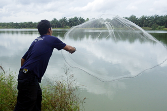 Capturing fish with a net in a clean lake