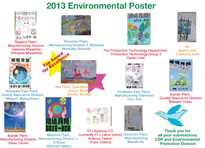 2013 Environmental Poster