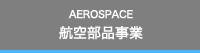 AEROSPACE q󕔕i